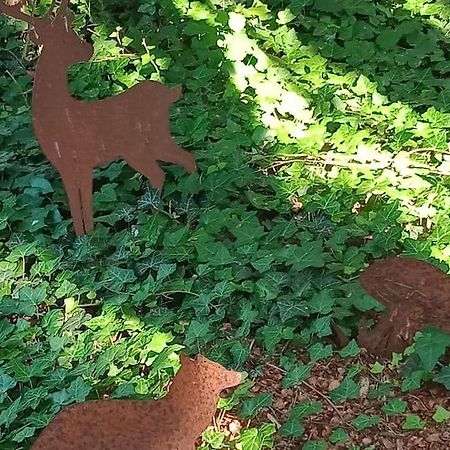 Micro Maison Isba Sedan Givonne Dış mekan fotoğraf
