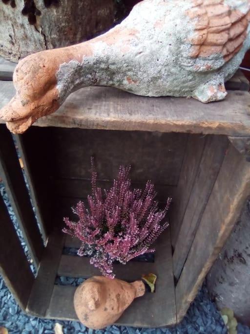 Micro Maison Isba Sedan Givonne Dış mekan fotoğraf