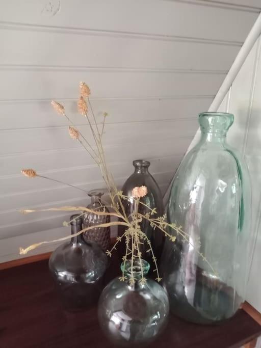 Micro Maison Isba Sedan Givonne Dış mekan fotoğraf